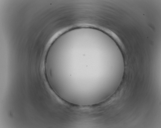 X0000114621191200910200955