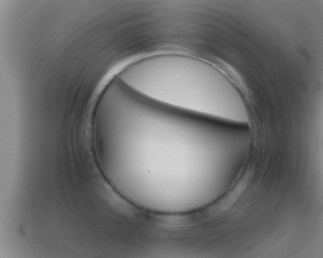 X0000114621192200910200955
