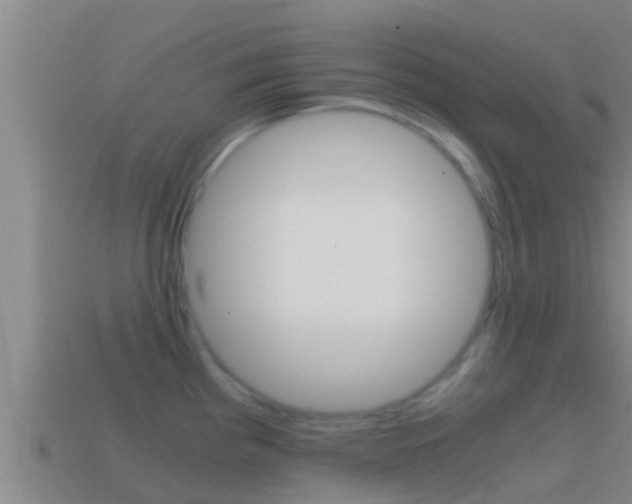 X0000114621193200910200955