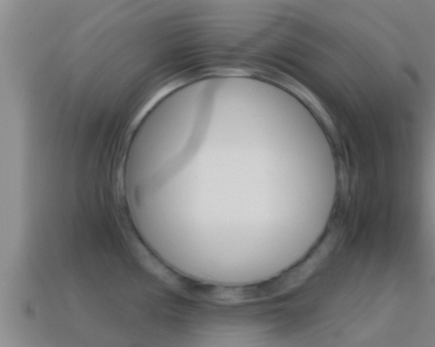 X0000114621194200910200955