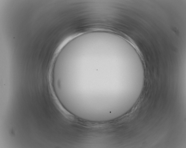 X0000114621195200910200955