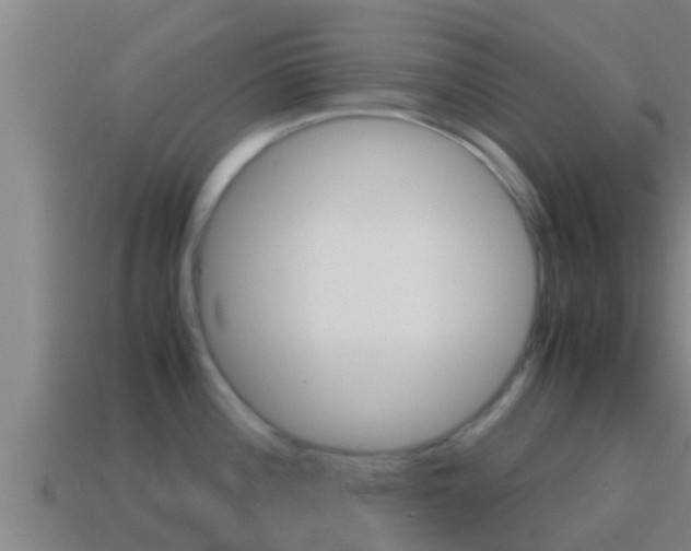 X0000114621196200910200955