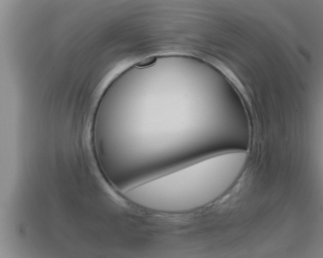 X0000114621197200910200955