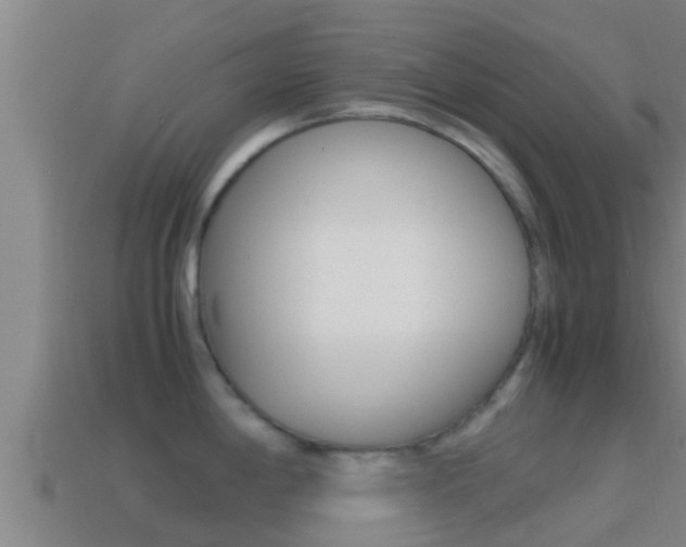 X0000114621198200910200955