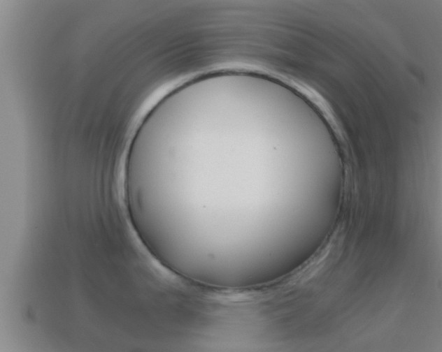 X0000114621199200910200955