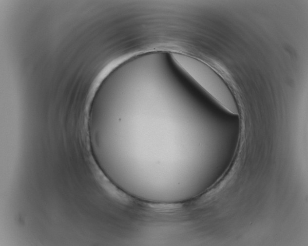 X0000114621200200910200955