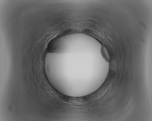 X0000114621201200910200954