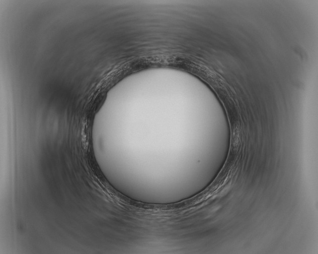 X0000114621202200910200954