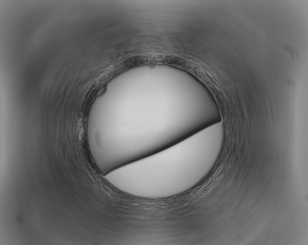 X0000114621204200910200954
