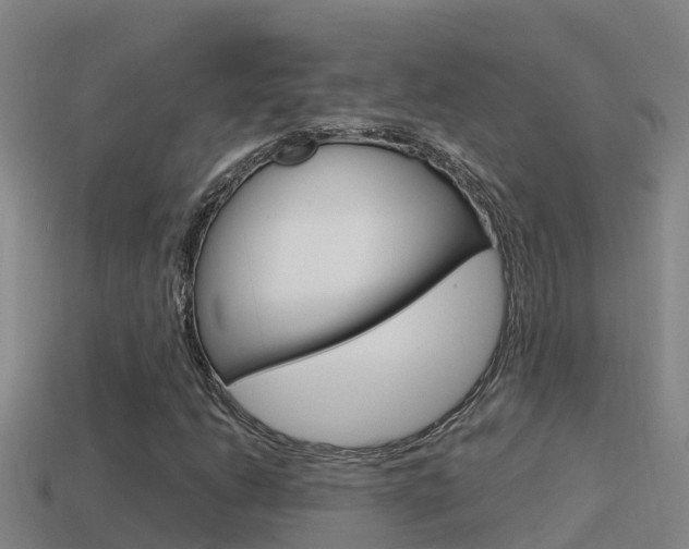X0000114621206200910200954