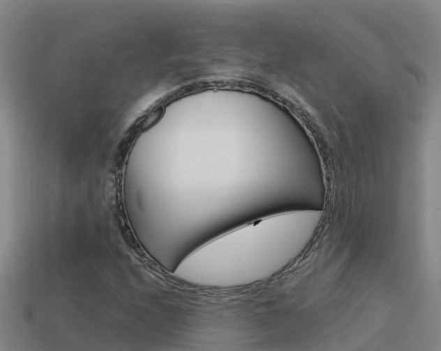 X0000114621208200910200955