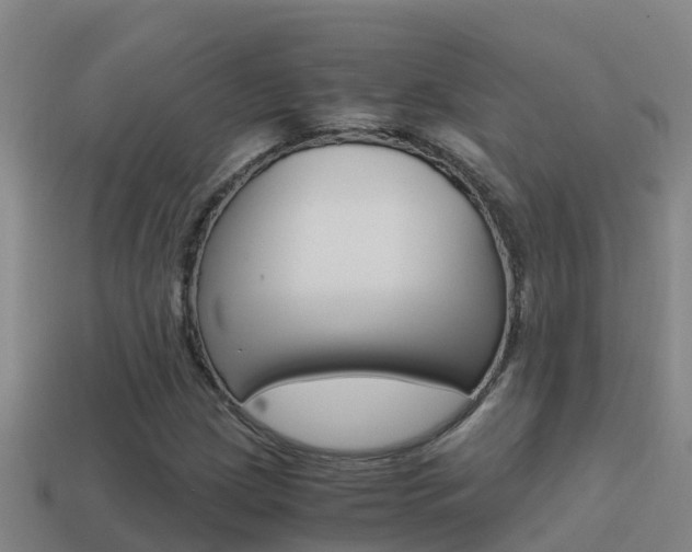 X0000114621209200910200955