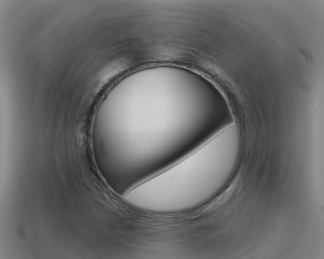 X0000114621210200910200955