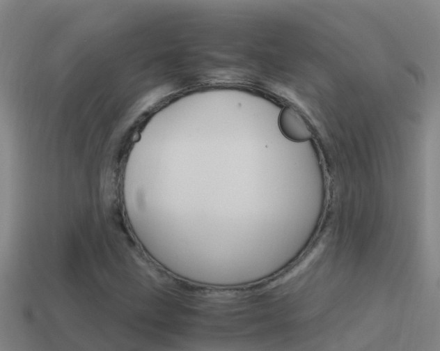 X0000114621211200910200955