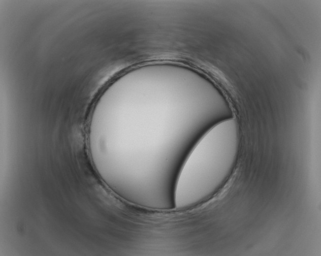 X0000114621212200910200955