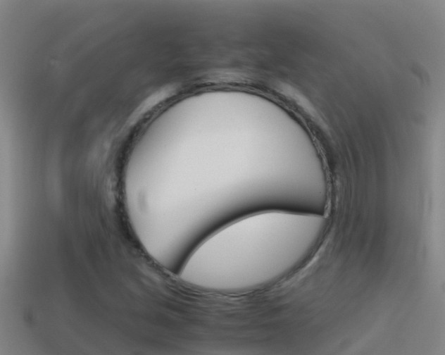 X0000114621213200910200955