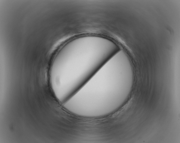 X0000114621214200910200955