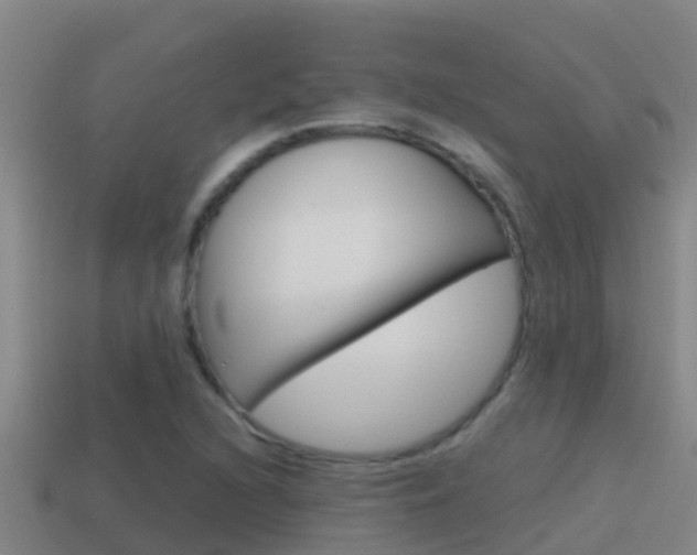 X0000114621216200910200955