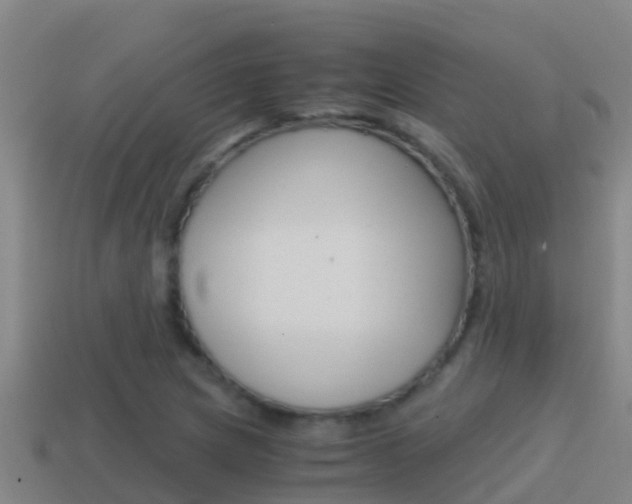 X0000114621217200910200955