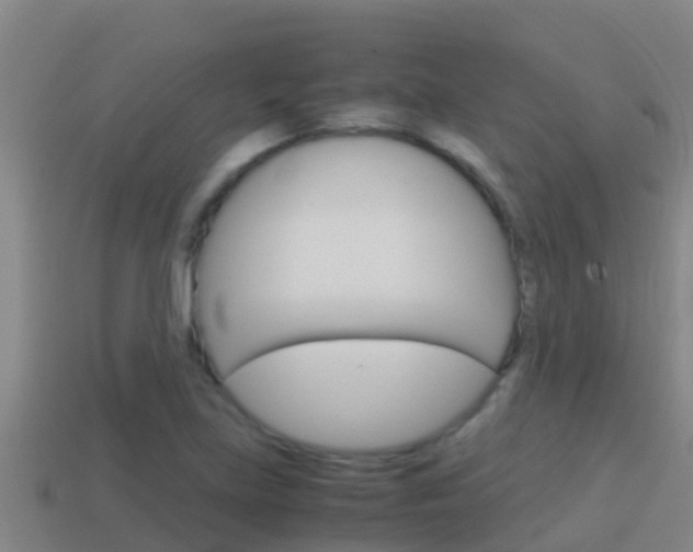 X0000114621219200910200955