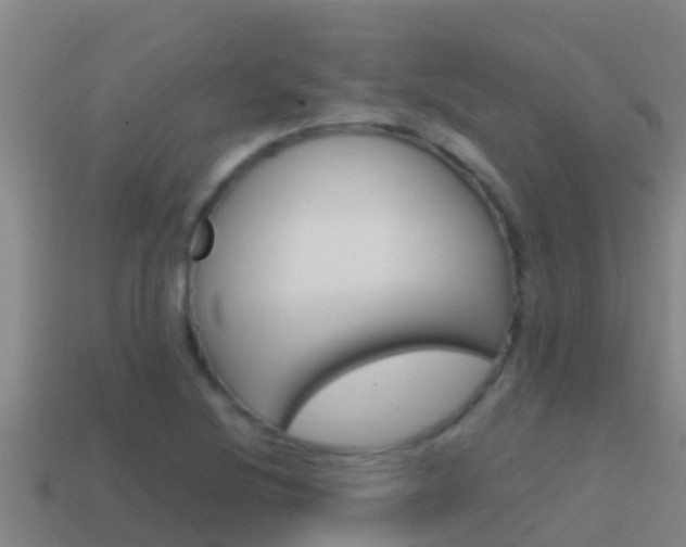X0000114621220200910200955