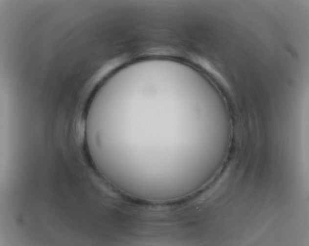 X0000114621221200910200955