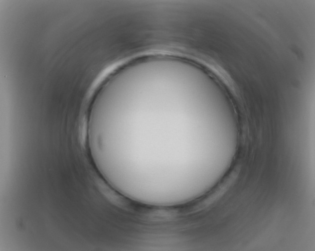 X0000114621224200910200955