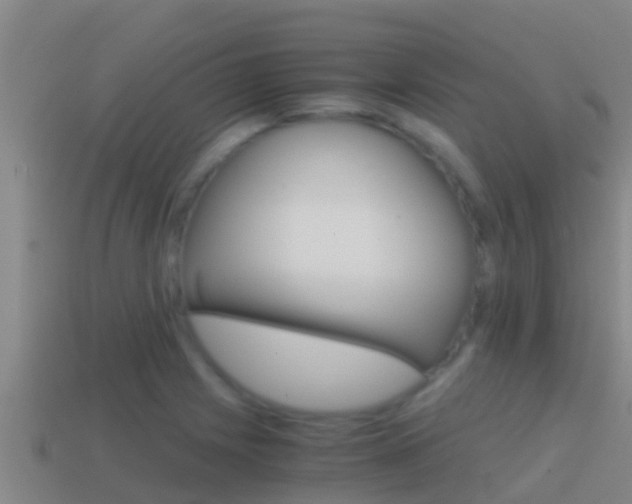 X0000114621225200910200955