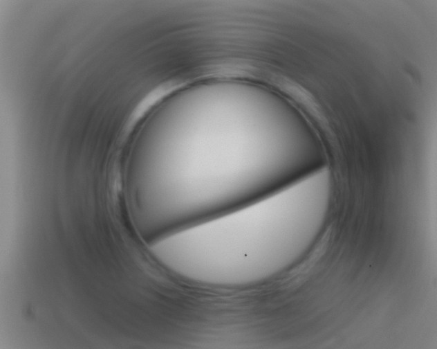 X0000114621226200910200955