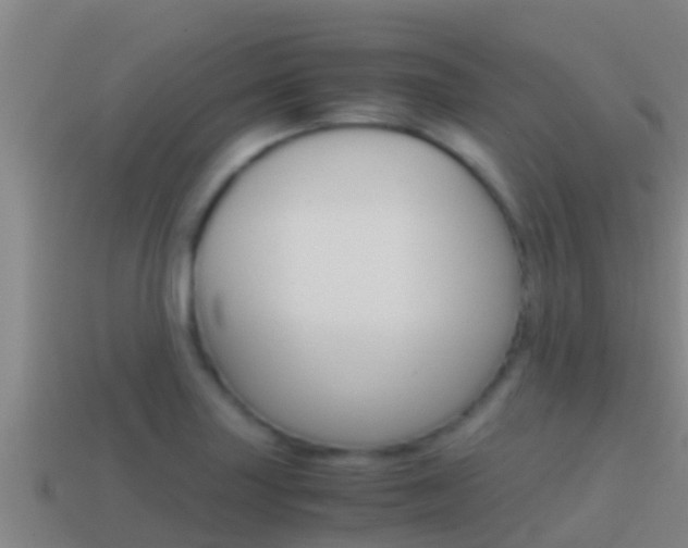 X0000114621227200910200955