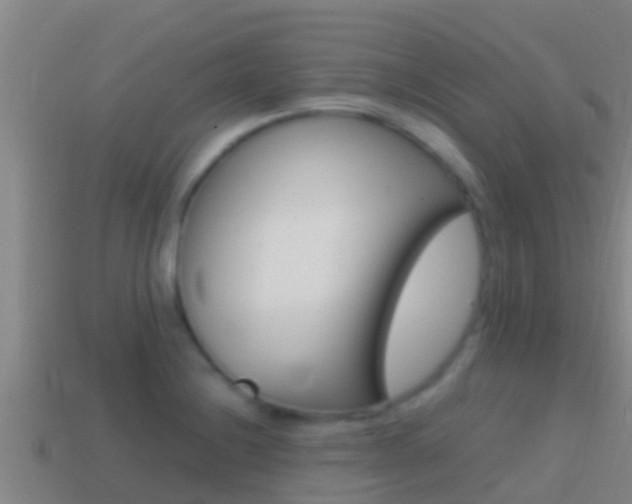 X0000114621228200910200955