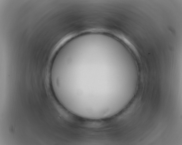 X0000114621229200910200955