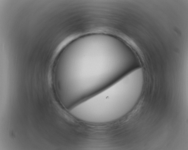 X0000114621230200910200955
