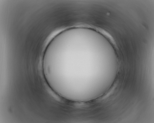 X0000114621231200910200955
