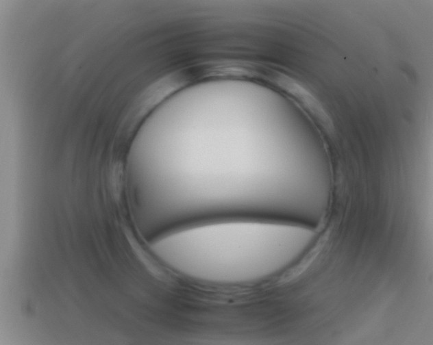 X0000114621233200910200955