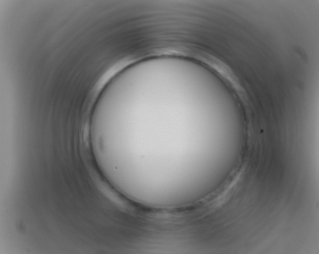 X0000114621234200910200955
