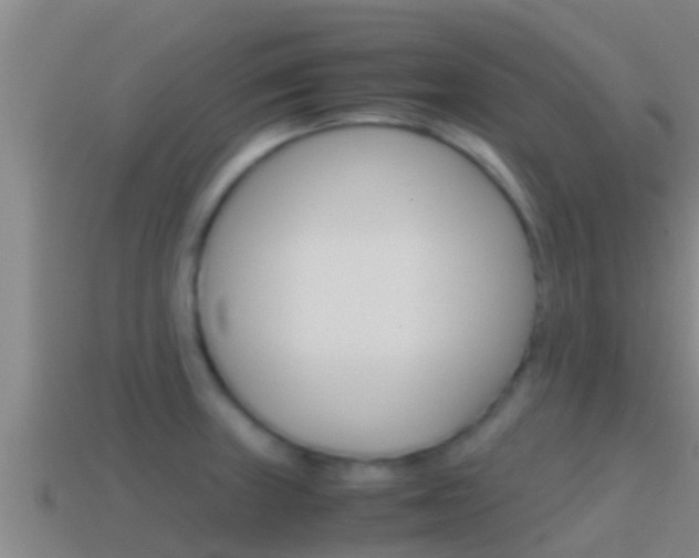 X0000114621235200910200955