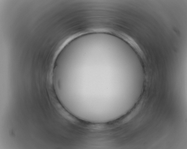 X0000114621236200910200955