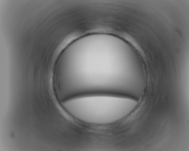 X0000114621237200910200955