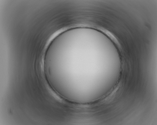 X0000114621238200910200955