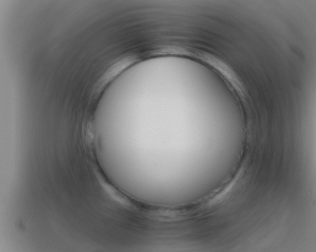 X0000114621241200910200955