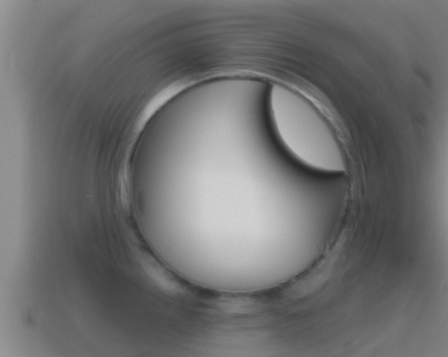 X0000114621242200910200955