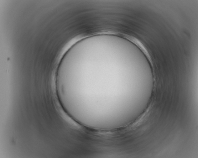 X0000114621243200910200955