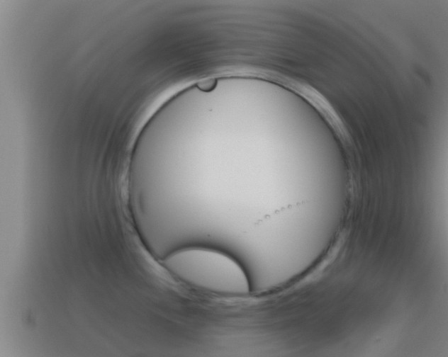 X0000114621244200910200955