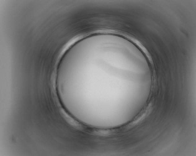 X0000114621245200910200955