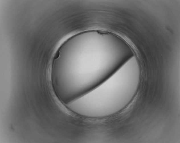 X0000114621246200910200955