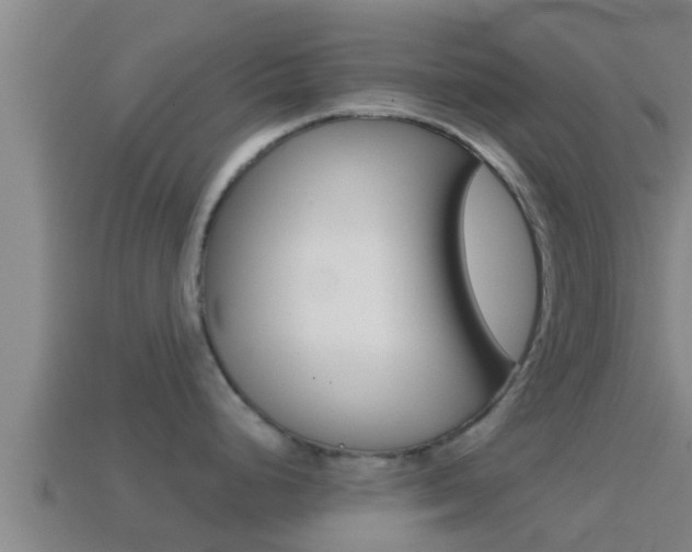X0000114621248200910200955