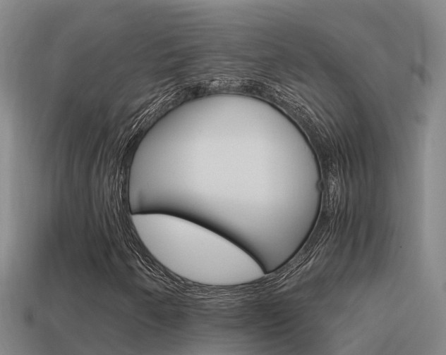 X0000114621250200910200954