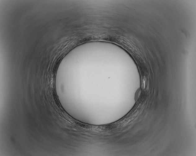 X0000114621251200910200954