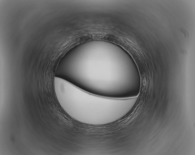 X0000114621252200910200954